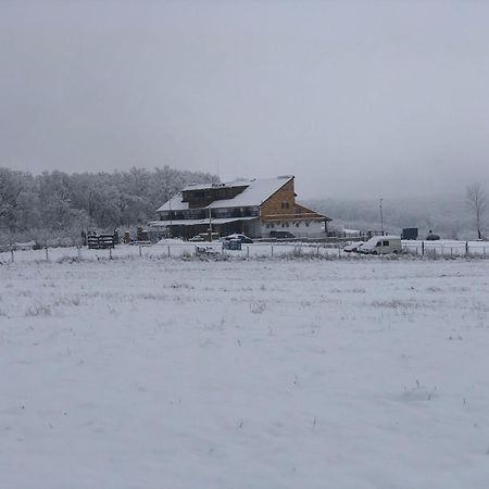 Hotel Marada Felix Hidişelul-de Sus Exterior foto